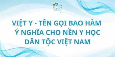 nhieu hoi thao de xuat chuyen doi ten goi  ??viet y ?? thay cho nen y hoc dan toc viet